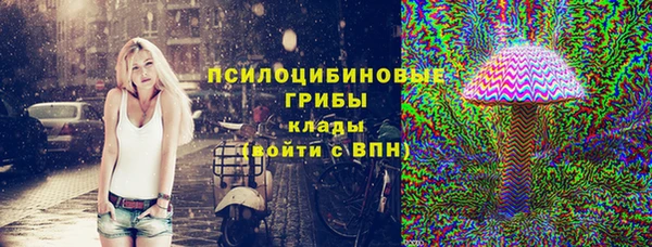 дурь Алексин