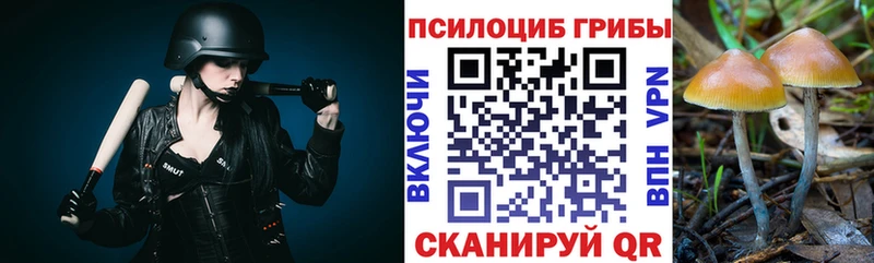 Галлюциногенные грибы ЛСД  где продают   Омутнинск 
